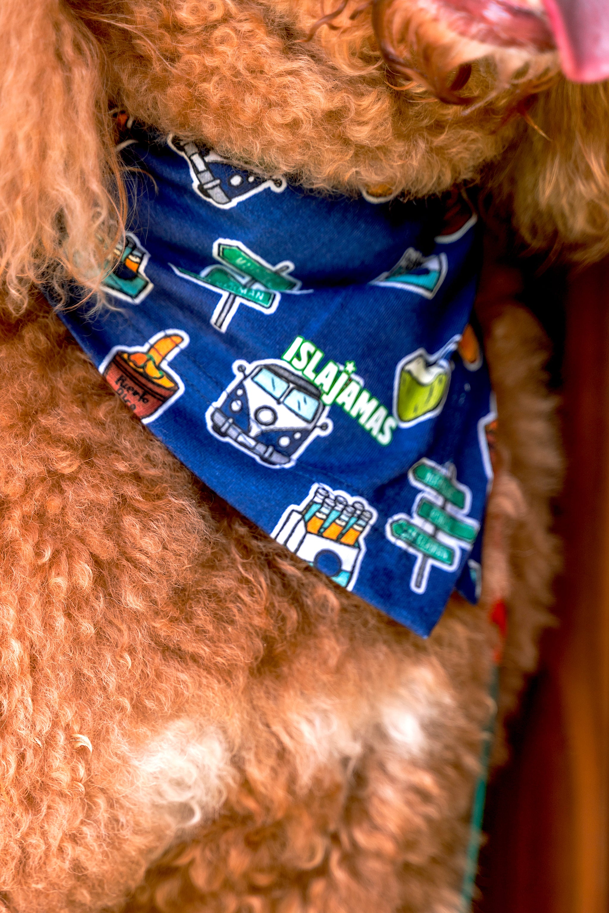 "Pal Chinchorreo" Pet Bandana