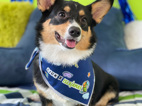 "Pako Pantunflas" Dog Bandana